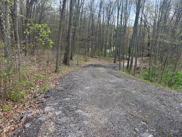 10950 W Bricker Rd, Belding, MI 48809