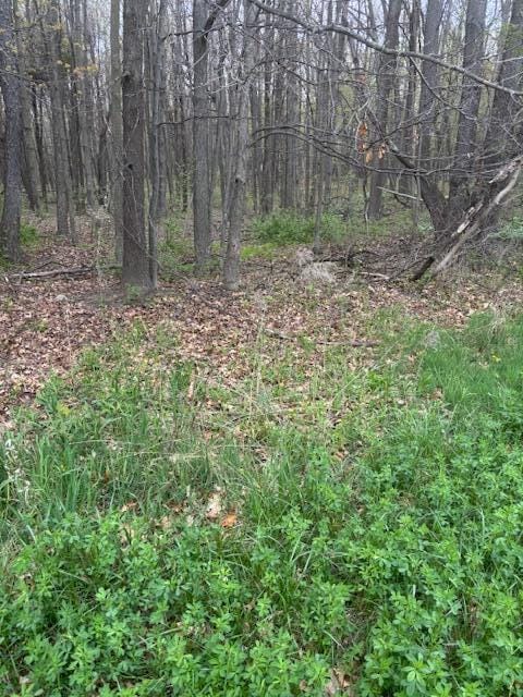 10950 W Bricker Rd, Belding, MI 48809
