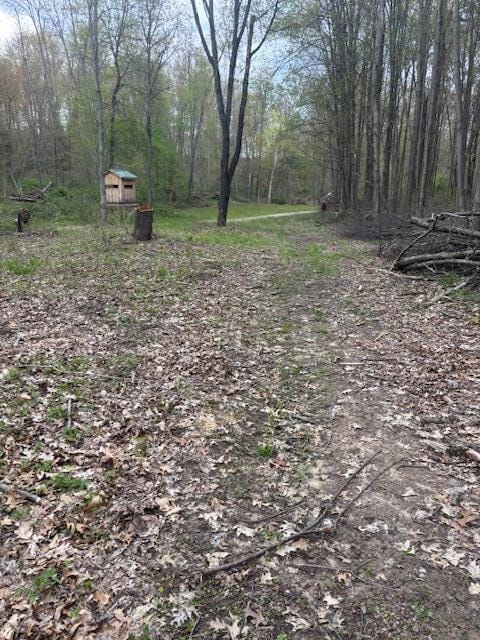 10950 W Bricker Rd, Belding, MI 48809
