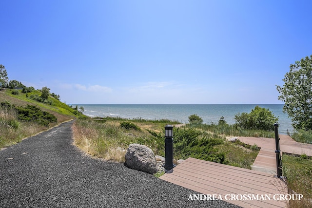 661 Lantern Watch Dr Unit 29, South Haven, MI 49090