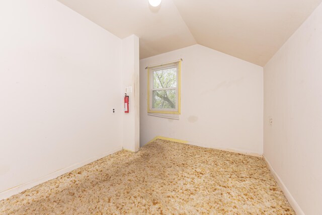885 Hawthorne Ave, Ypsilanti, MI 48198 - additional living space featuring carpet and lofted ceiling