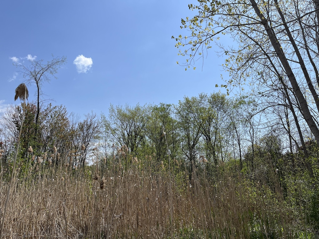 0 E Commerce Rd, Commerce Twp, MI 48382