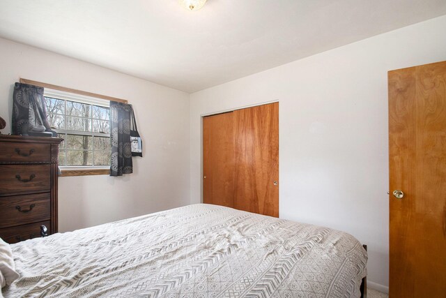 50427 M 51 N, Dowagiac, MI 49047 - bedroom with a closet