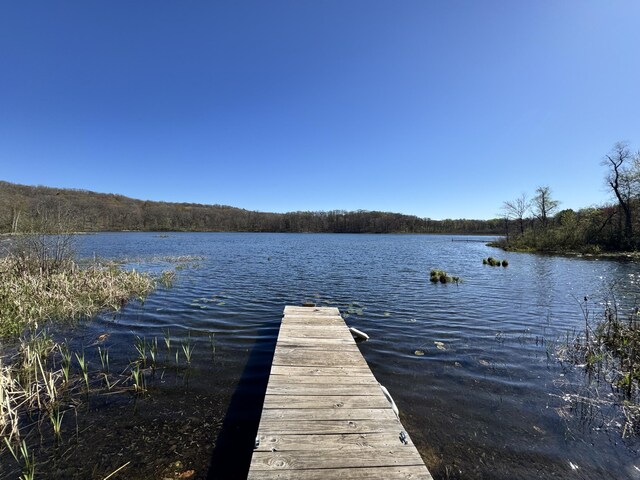7293 E Hungerford Lake Dr, Big Rapids, MI 49307