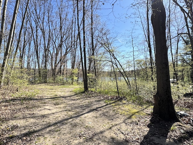 7293 E Hungerford Lake Dr, Big Rapids, MI 49307