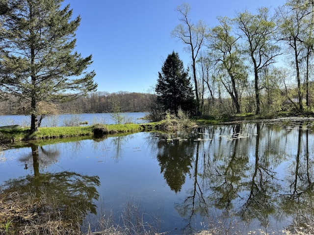 7293 E Hungerford Lake Dr, Big Rapids, MI 49307