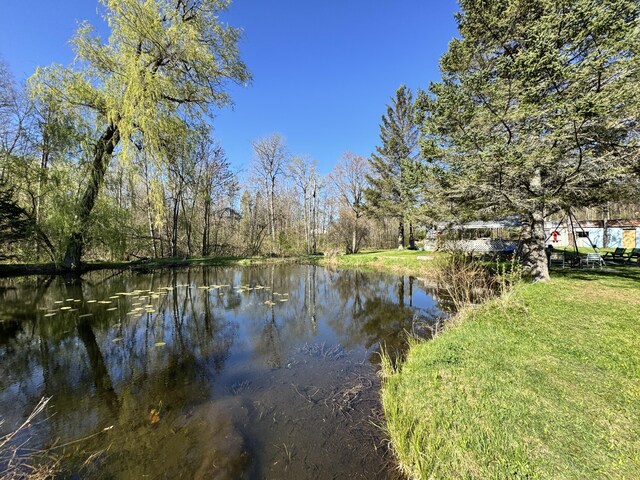7293 E Hungerford Lake Dr, Big Rapids, MI 49307