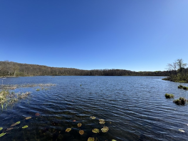 7293 E Hungerford Lake Dr, Big Rapids, MI 49307