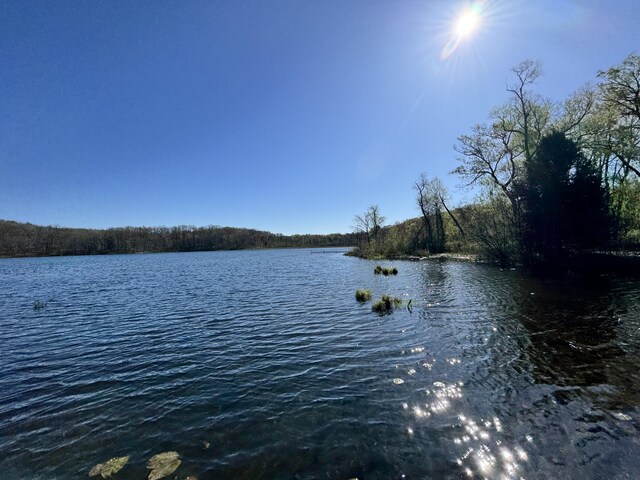 7293 E Hungerford Lake Dr, Big Rapids, MI 49307