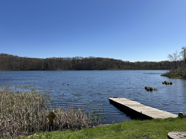 7293 E Hungerford Lake Dr, Big Rapids, MI 49307