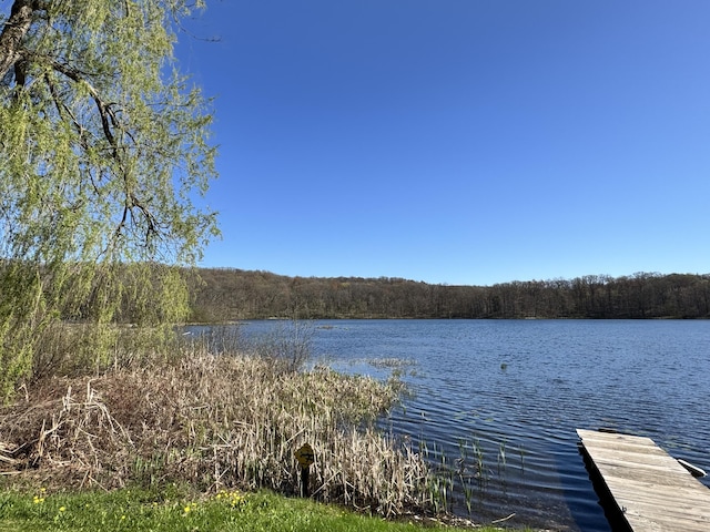 7293 E Hungerford Lake Dr, Big Rapids, MI 49307