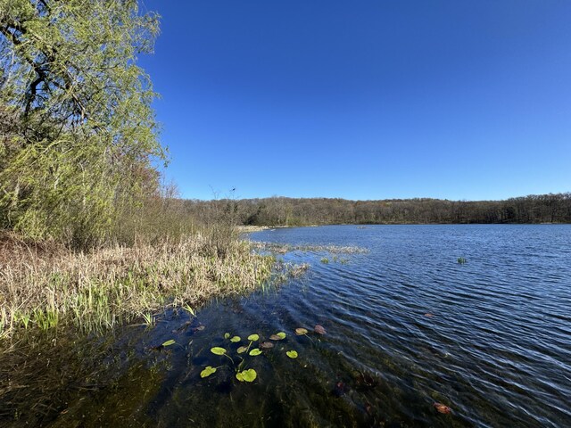 7293 E Hungerford Lake Dr, Big Rapids, MI 49307