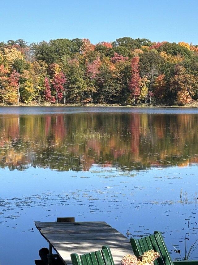 7293 E Hungerford Lake Dr, Big Rapids, MI 49307