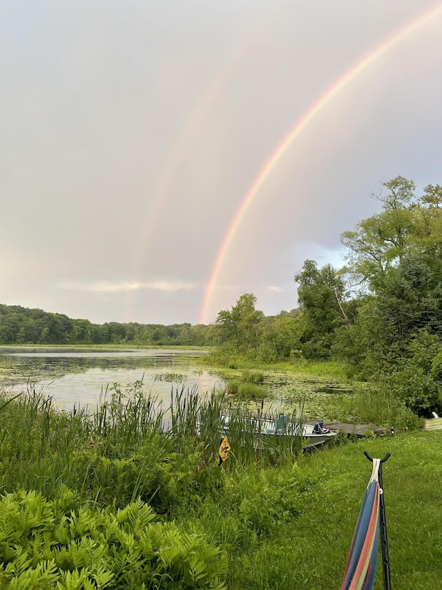 7293 E Hungerford Lake Dr, Big Rapids, MI 49307