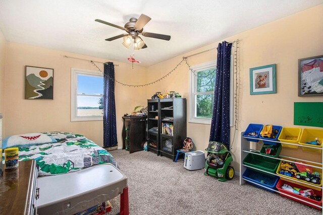 32867 Middle Crossing Rd, Dowagiac, MI 49047 - carpeted bedroom featuring multiple windows and a ceiling fan
