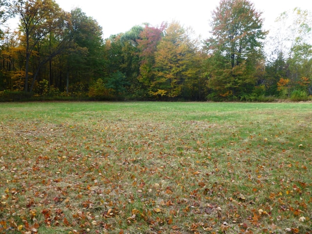 13254 Wilson Rd, New Buffalo, MI 49117