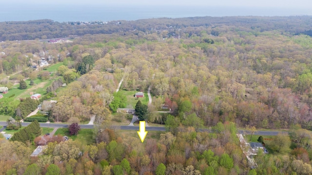 13254 Wilson Rd, New Buffalo, MI 49117