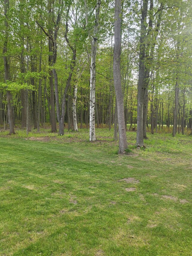 13212 Wilson Rd, New Buffalo, MI 49117