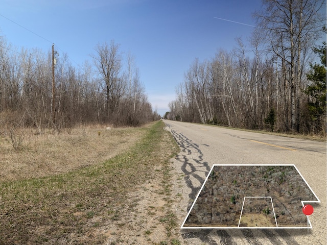 V/L S Wieman Rd, Beaverton, MI 48612