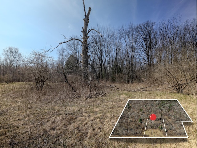 V/L S Wieman Rd, Beaverton, MI 48612