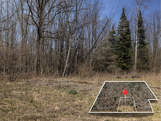 V/L S Wieman Rd, Beaverton, MI 48612