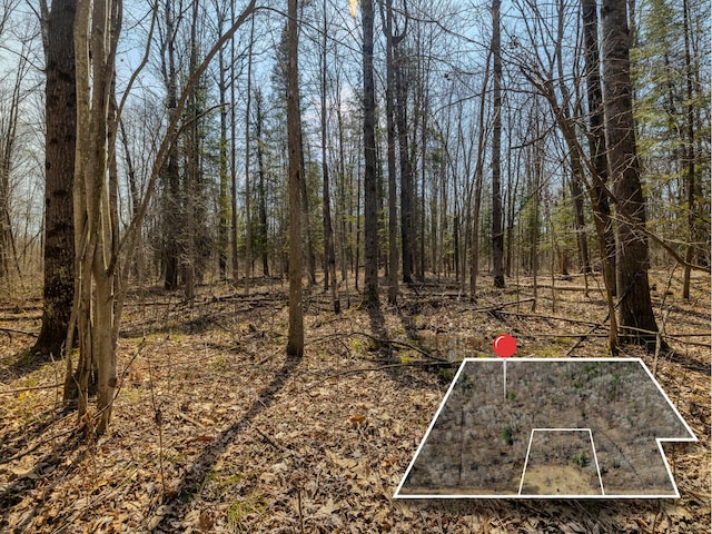 V/L S Wieman Rd, Beaverton, MI 48612