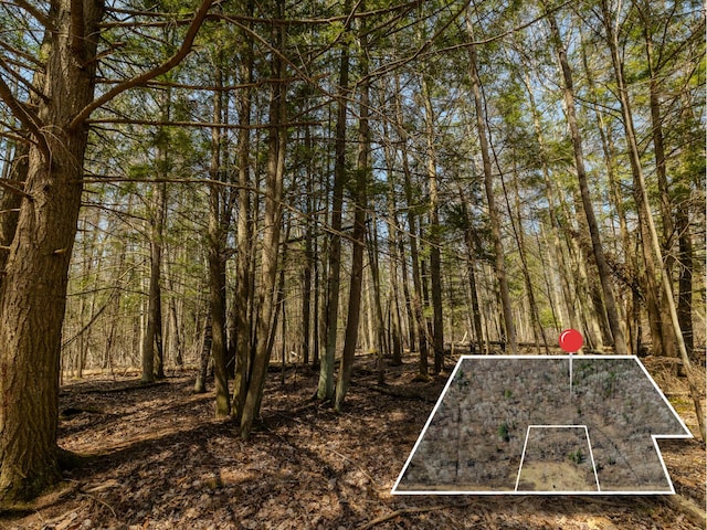 V/L S Wieman Rd, Beaverton, MI 48612