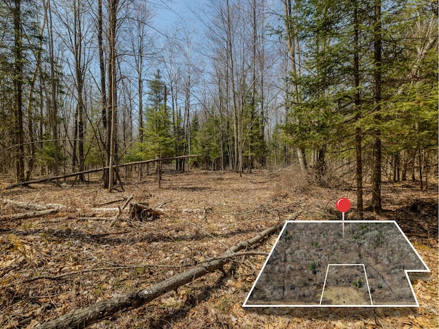 V/L S Wieman Rd, Beaverton, MI 48612