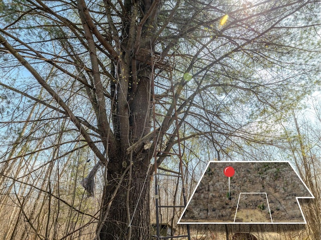 V/L S Wieman Rd, Beaverton, MI 48612