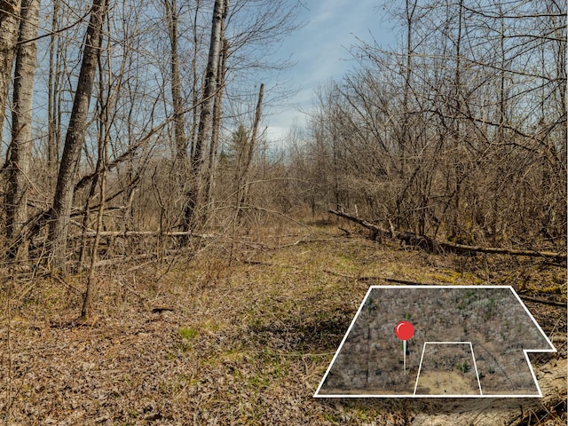V/L S Wieman Rd, Beaverton, MI 48612