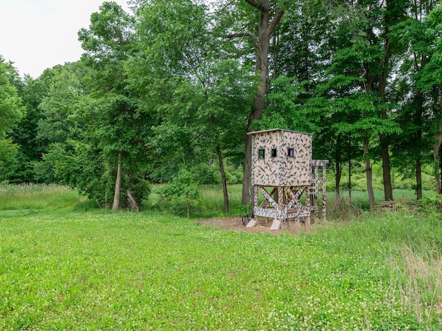 1518 M Dr S, East Leroy, MI 49051 - view of yard