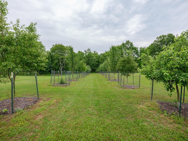 1518 M Dr S, East Leroy, MI 49051 - view of yard