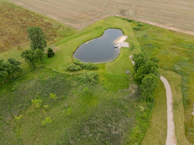 1518 M Dr S, East Leroy, MI 49051 - bird's eye view of a large body of water