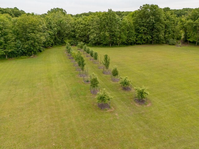 1518 M Dr S, East Leroy, MI 49051 - view of grassy yard with a view of countryside