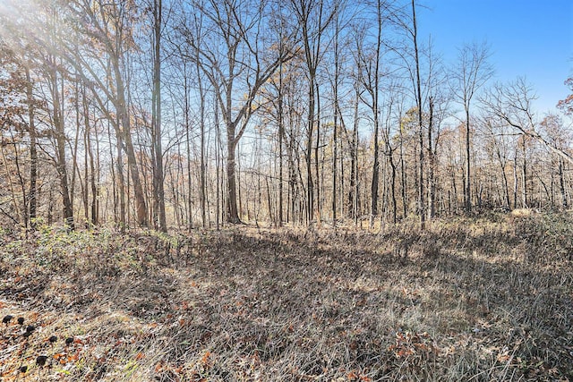 V/L Cedar Lake, Marshall, MI 49068