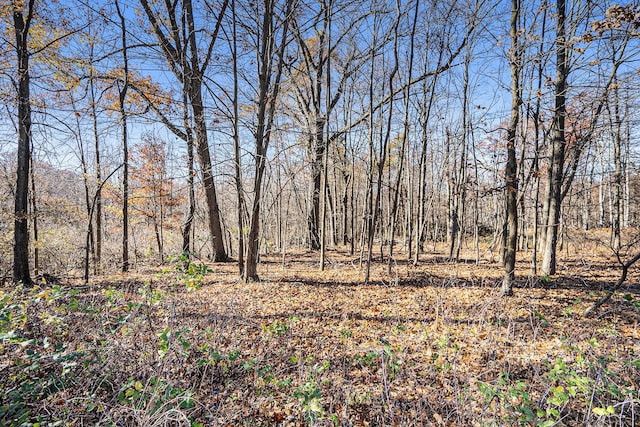 V/L Cedar Lake, Marshall, MI 49068