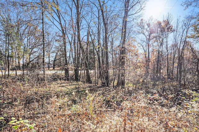 V/L Cedar Lake, Marshall, MI 49068