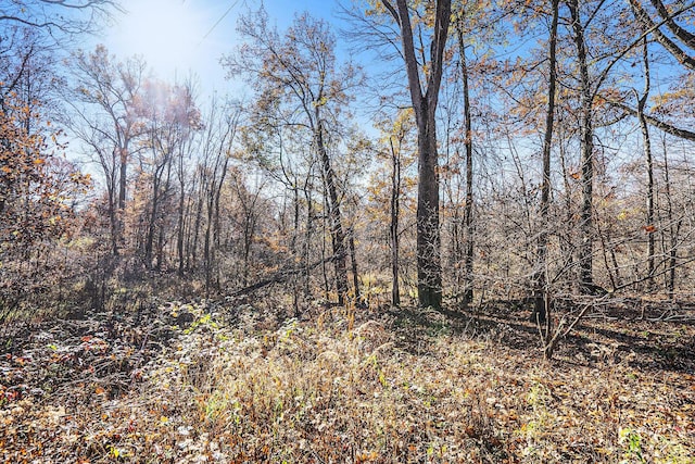 V/L Cedar Lake, Marshall, MI 49068