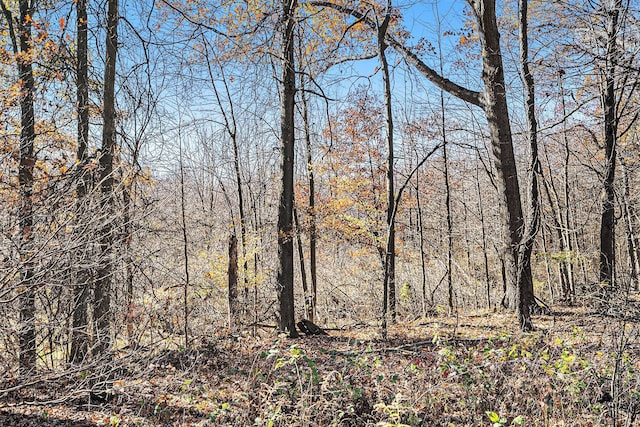 V/L Cedar Lake, Marshall, MI 49068