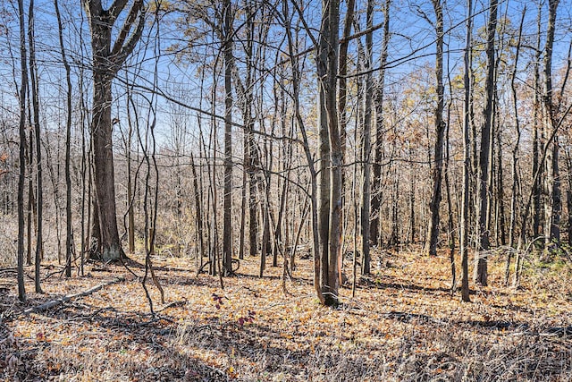 V/L Cedar Lake, Marshall, MI 49068