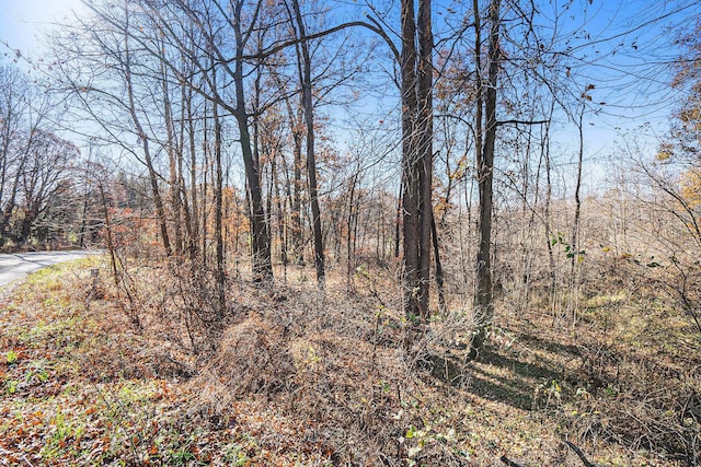 V/L Cedar Lake, Marshall, MI 49068