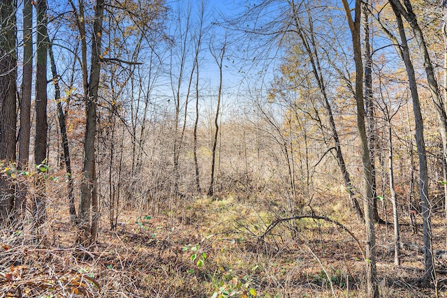 V/L Cedar Lake, Marshall, MI 49068