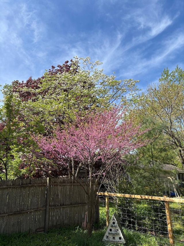6056 Clary Ct, Sawyer, MI 49125 - view of yard with fence