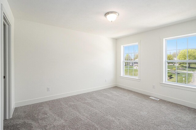 15250 Alister Mackenzie Ave, Augusta, MI 49012 - photo 20