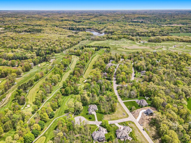 15250 Alister Mackenzie Ave, Augusta, MI 49012 - photo 34