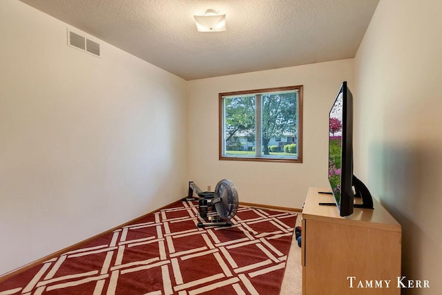 940 Laketown Dr, Holland, MI 49423 - exercise area with carpet floors and a textured ceiling