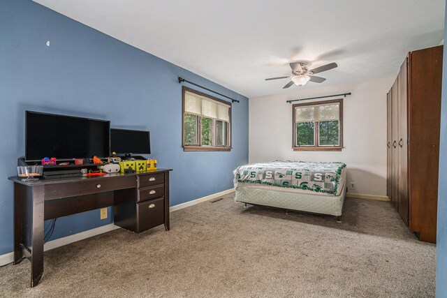 1514 Ferndale Blvd, Niles, MI 49120 - carpeted bedroom with multiple windows, baseboards, and a ceiling fan