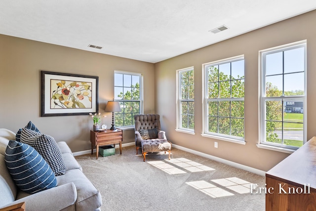 4865 Rapid River Ave SW, Wyoming, MI 49418 - living area featuring plenty of natural light, baseboards, and carpet floors