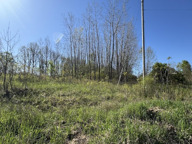 LotC Stoney Lane, Eaton Rapids, MI 48827