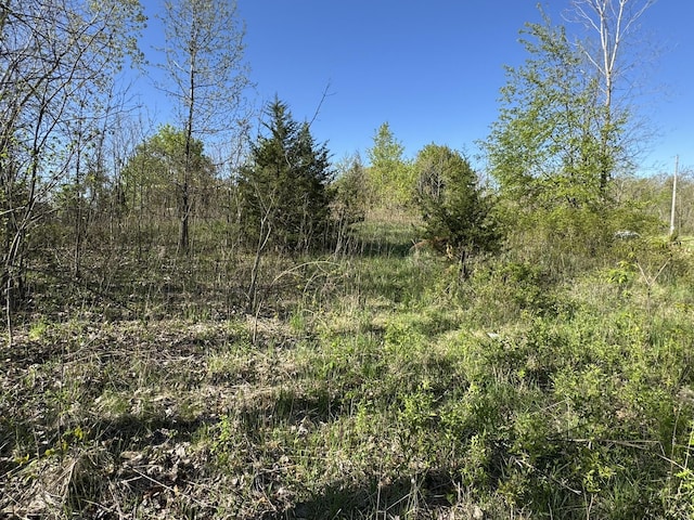 LotC Stoney Lane, Eaton Rapids, MI 48827